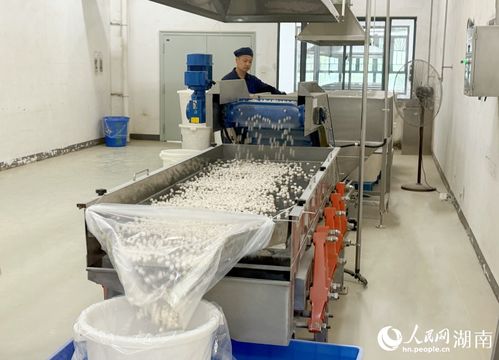 有“身份证”的中药怎样炼成？探访湖南首批数字化中药饮片工厂