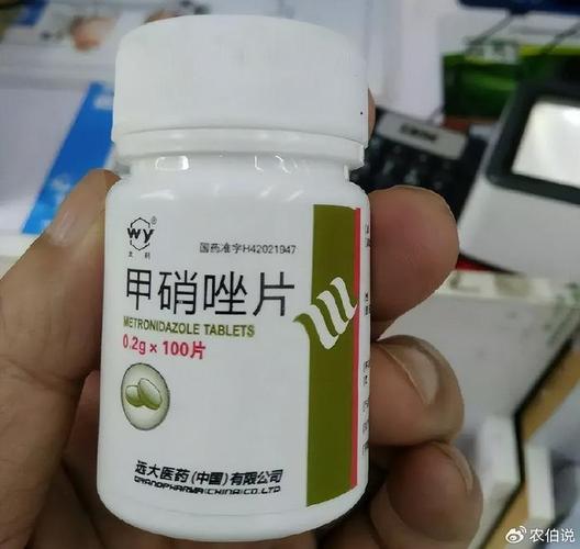 15种过期药品别乱扔拿来养花效果超级棒花儿用了长得旺